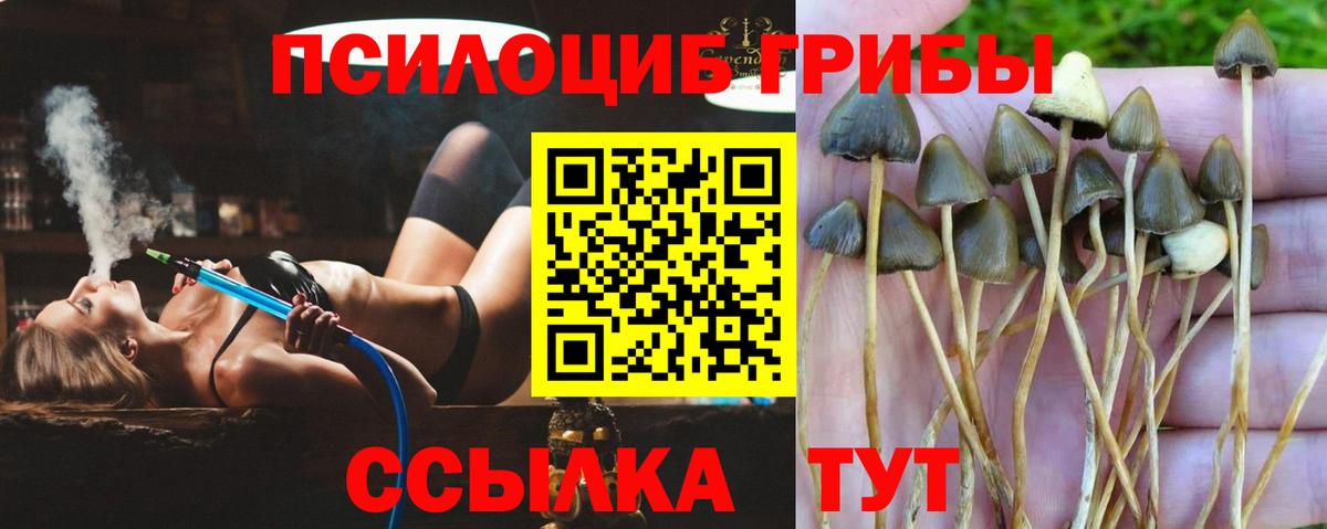 Галлюциногенные грибы Magic Shrooms  Галлюциногенные грибы ЛСД  Вход с VPN  Свободный 